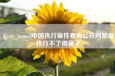 铁岭中国执行案件查询公开网都是执行不了得案子