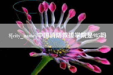 铁岭中国消防救援学院是985吗