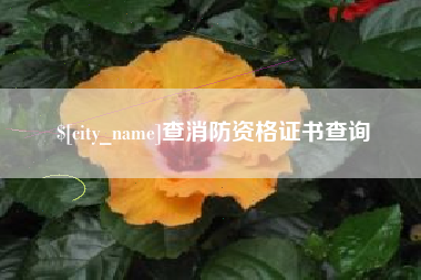 铁岭查消防资格证书查询