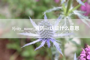 铁岭消防ccc认证什么意思