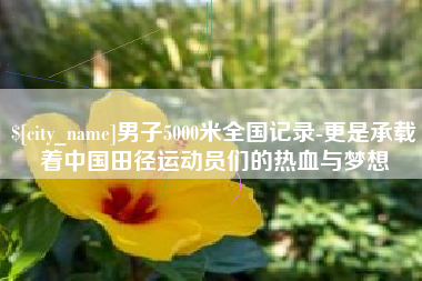 铁岭男子5000米全国记录-更是承载着中国田径运动员们的热血与梦想