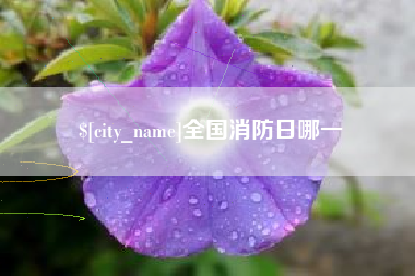 铁岭全国消防日哪一