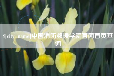 铁岭中国消防救援学院官网首页查询
