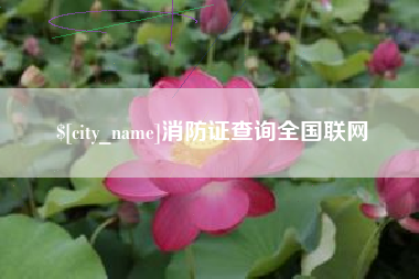 铁岭消防证查询全国联网