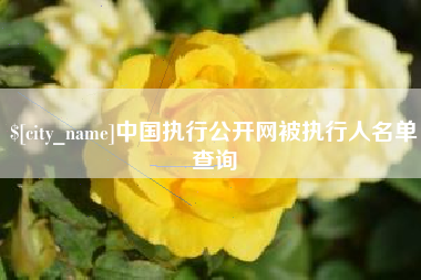 铁岭中国执行公开网被执行人名单查询