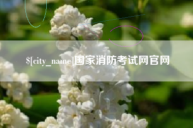 铁岭国家消防考试网官网