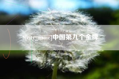 铁岭中国第九个金牌