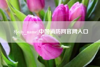铁岭中国消防网官网入口