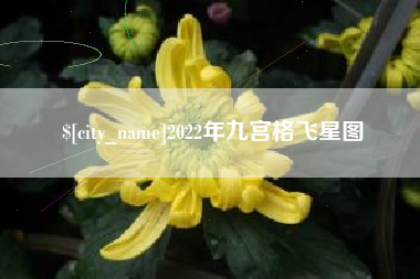 铁岭2022年九宫格飞星图