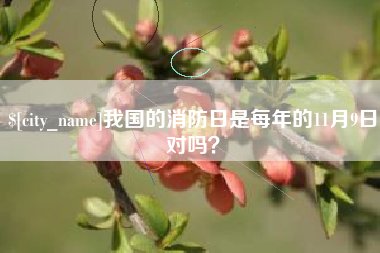 铁岭我国的消防日是每年的11月9日对吗？