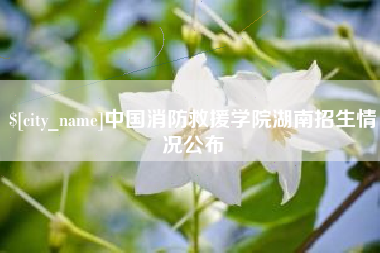 铁岭中国消防救援学院湖南招生情况公布