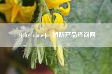铁岭ccc消防产品查询网