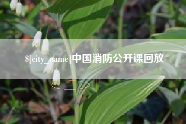 铁岭中国消防公开课回放
