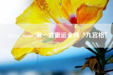 铁岭第一波奥运金牌“九宫格”