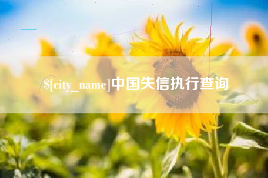 铁岭中国失信执行查询