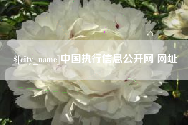 铁岭中国执行信息公开网 网址