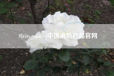 铁岭中国消防产品官网