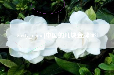 铁岭中国的几块金牌2021