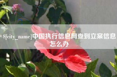 铁岭中国执行信息网查到立案信息怎么办