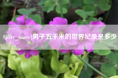 铁岭男子五千米的世界纪录是多少