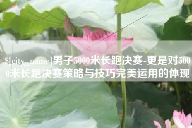 铁岭男子5000米长跑决赛-更是对5000米长跑决赛策略与技巧完美运用的体现