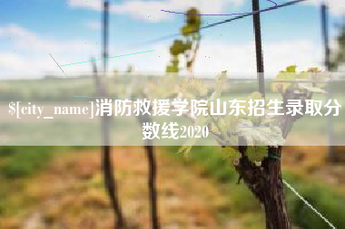 铁岭消防救援学院山东招生录取分数线2020