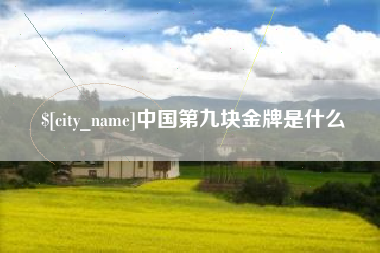 铁岭中国第九块金牌是什么