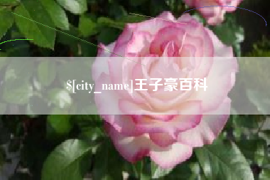 铁岭王子豪百科