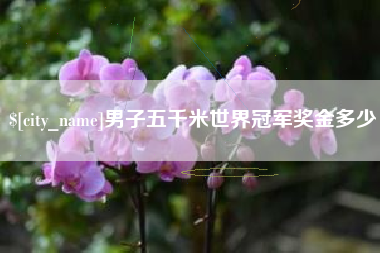 铁岭男子五千米世界冠军奖金多少