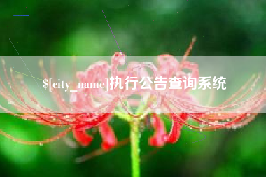 铁岭执行公告查询系统