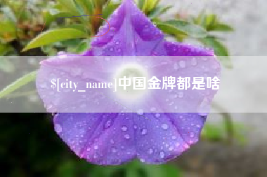 铁岭中国金牌都是啥