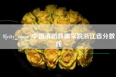 铁岭中国消防救援学院浙江省分数线