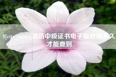 铁岭消防中级证书电子版查询多久才能查到