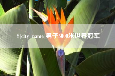 铁岭男子5000米世界冠军