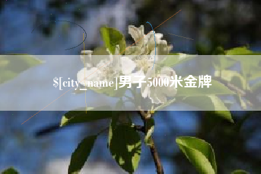 铁岭男子5000米金牌