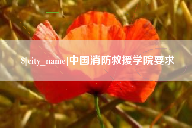 铁岭中国消防救援学院要求