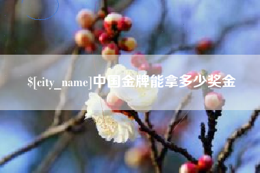 铁岭中国金牌能拿多少奖金