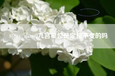 铁岭九宫星位是定位不变的吗