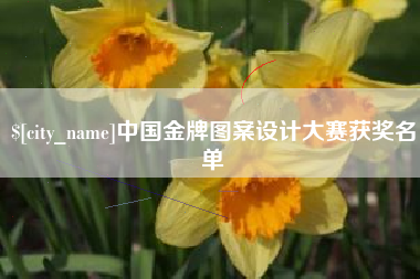 铁岭中国金牌图案设计大赛获奖名单