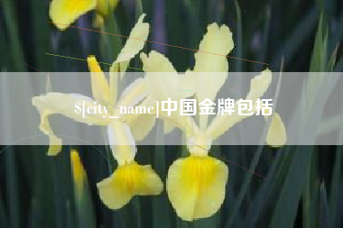 铁岭中国金牌包括