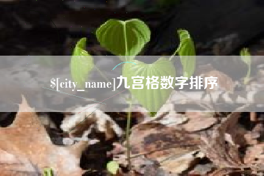 铁岭九宫格数字排序
