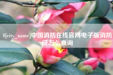 铁岭中国消防在线官网电子版消防证怎么查询