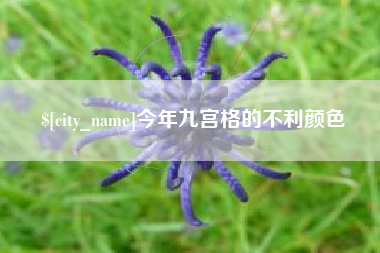 铁岭今年九宫格的不利颜色
