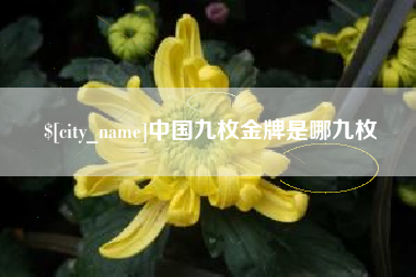 铁岭中国九枚金牌是哪九枚