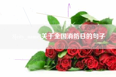 铁岭关于全国消防日的句子
