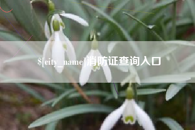 铁岭消防证查询入口