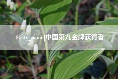 铁岭中国第九金牌获得者