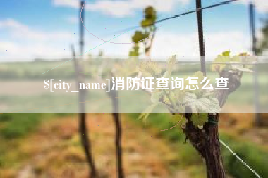 铁岭消防证查询怎么查