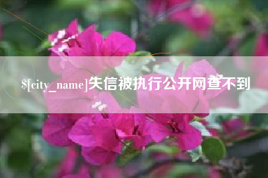 铁岭失信被执行公开网查不到
