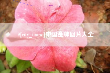 铁岭中国金牌图片大全